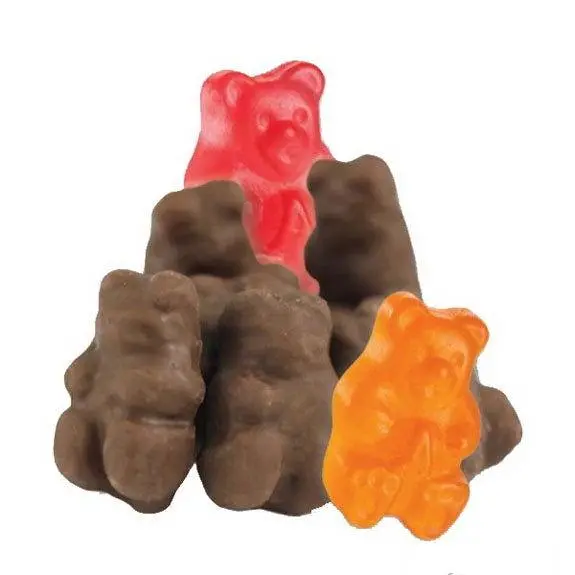 Chocolate Covered Gummi Bears 1
