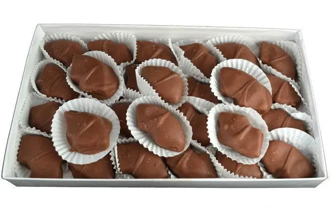 Chocolate Covered Pineapple 1