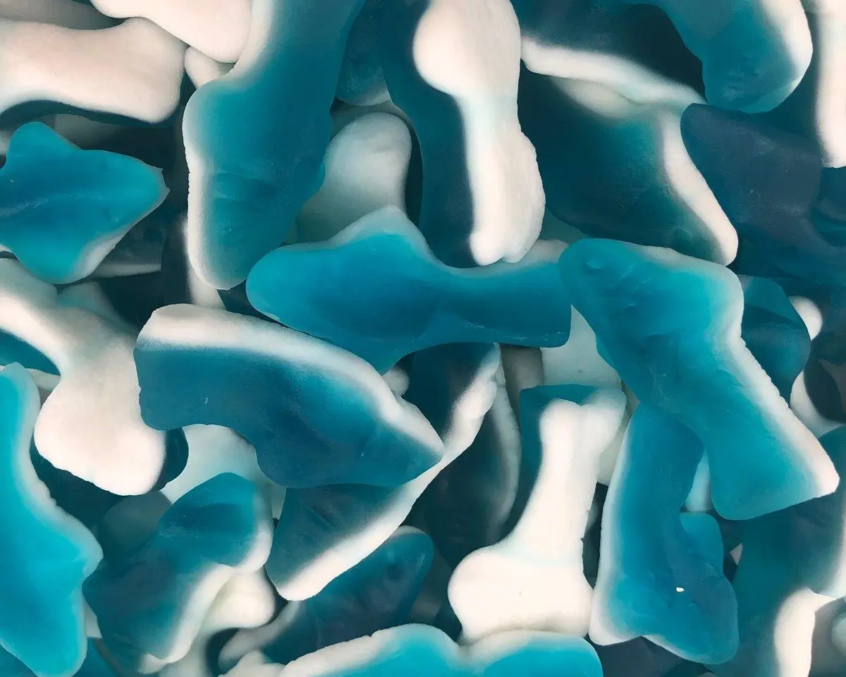 Gummi Blue Sharks 1