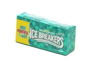 Ice Breakers - Sugarfree Wintergreen Plenty Pack 1