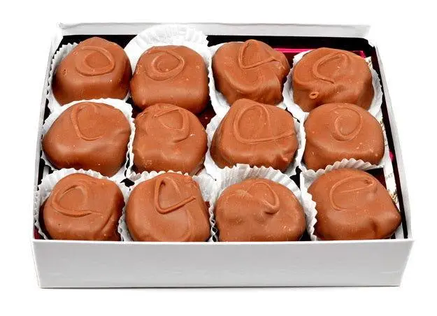 Pecan Paw Prints 1