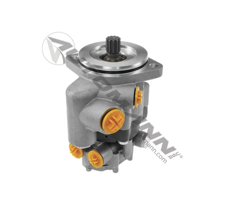 465.Zf.13 - Power Steering And Fuel Pump ( 1885524, 1885524Pe) 1