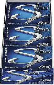 Stride 2.0 Winterblue Gum 1