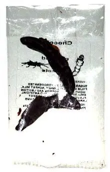 Worm And Cricket Chocolate Covered 1