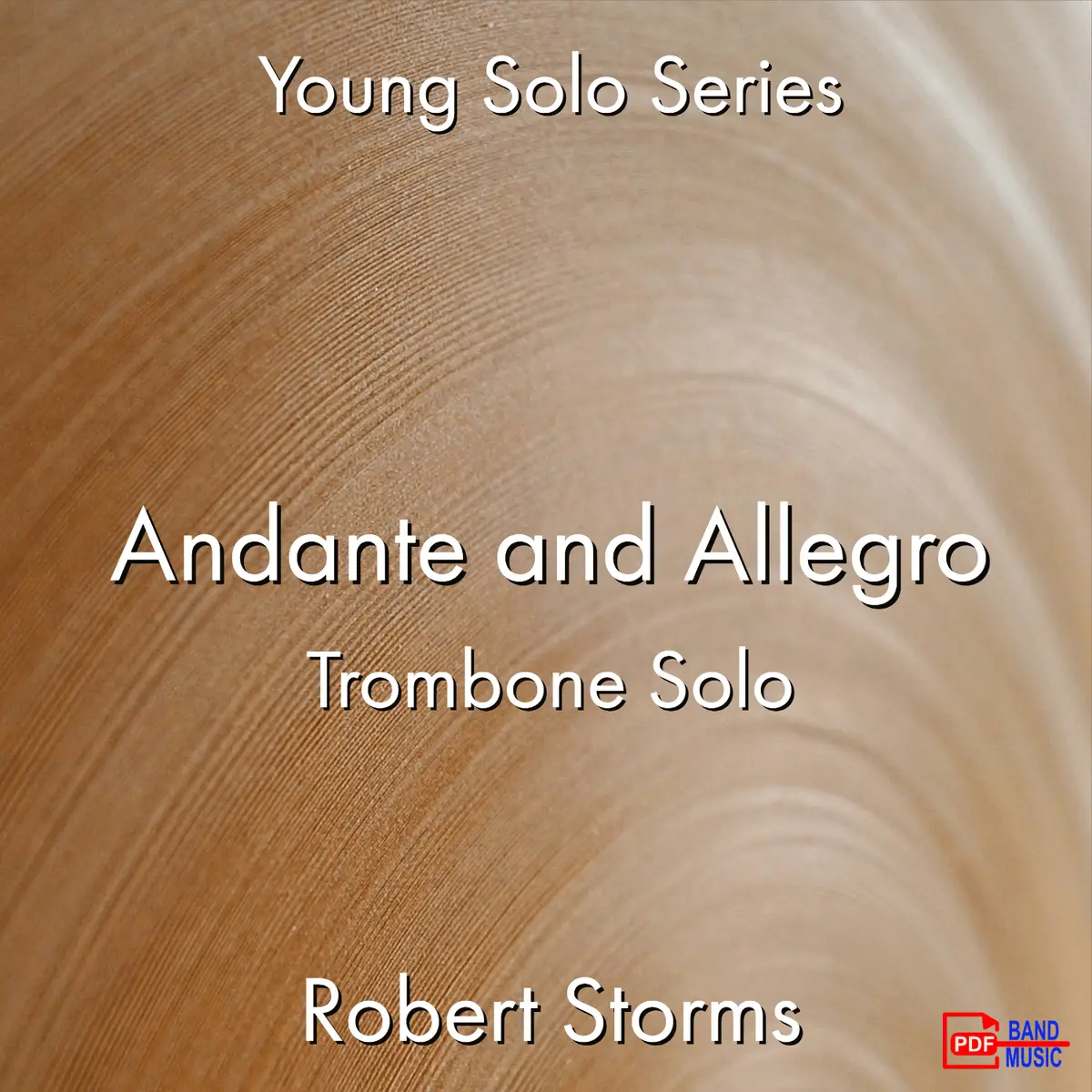 Andante And Allegro 1